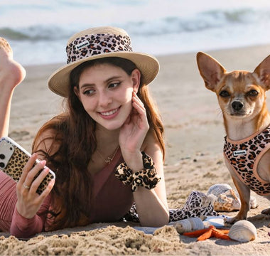 Chihuahua Beach Day Guide: Matching Harness, Outfits & Summer Safety Tips