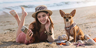 Chihuahua Beach Day Guide: Matching Harness, Outfits & Summer Safety Tips