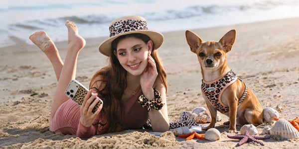 Chihuahua Beach Day Guide: Matching Harness, Outfits & Summer Safety Tips