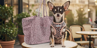 harnais pour chihuahua ajustable Bobotails — style léopard