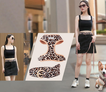 The Rise of Matching Human and Dog Apparel