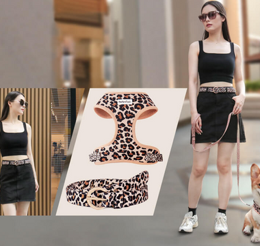 The Rise of Matching Human and Dog Apparel