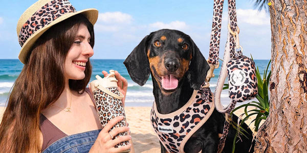 a women hold bobotails  leopard collection and stand by Dachshund wearing leopard dog harness leash set
