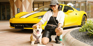 The Ultimate Guide to Aesthetic Matching for Dog Parents: Beyond the Traditional Dog and Owner Outfits
