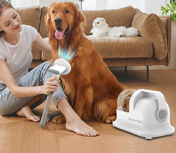 pet grooming device for stress free groom