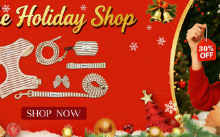 Best Christmas Gifts for Dog Lovers 2025: The Complete 7-Piece Matching Set (30% OFF)