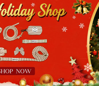 Best Christmas Gifts for Dog Lovers 2025: The Complete 7-Piece Matching Set (30% OFF)