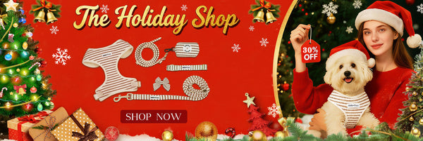 Best Christmas Gifts for Dog Lovers 2025: The Complete 7-Piece Matching Set (30% OFF)