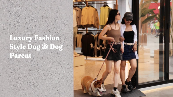 matching set dog and mom outfit by Bobotails