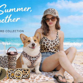 Leopard Print Beach Collection – Matching Dog & Owner Style