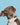 hunting dog collars