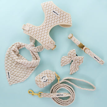 floral brilliance dog harness,leash,collar,bow ties,poop bag holder,women's belt and dog bandana