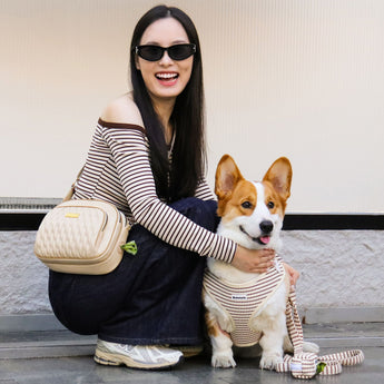 Matching Dog Harness Sets for Dogs & Owners