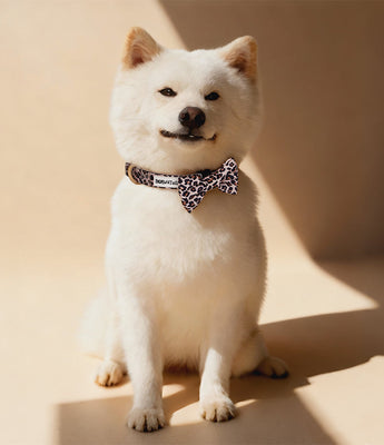 Bobotails Dog Bow Tie Set,Adjustable Pet Tie Collar for Small Medium Large Dog