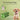 Dog Poop Bags