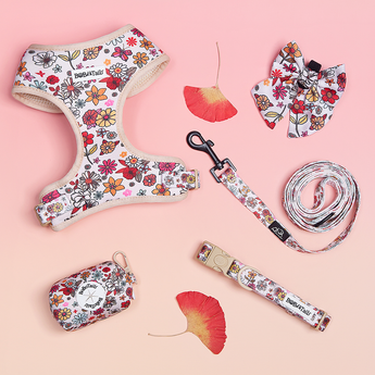 Trending Pet Fashion Products This Season