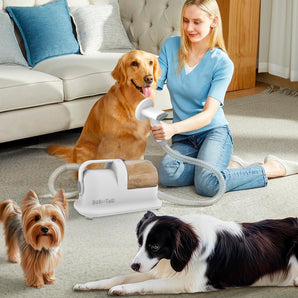 Kit d'aspirateur de toilettage pour animaux de compagnie