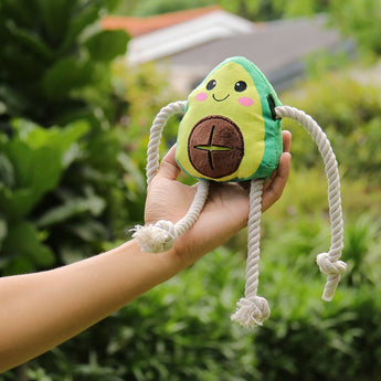 Puppy playing with soft Chewable Dog Toys on grass