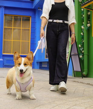 Lavender Lace 4-Piece Set – Romantic Matching Bundle with Women's Belt