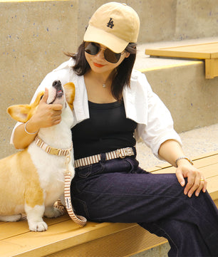 織物デザインの犬用マッチングセット