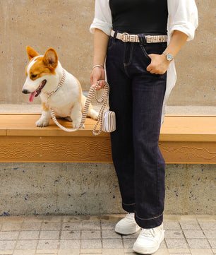 織物デザインの犬用マッチングセット