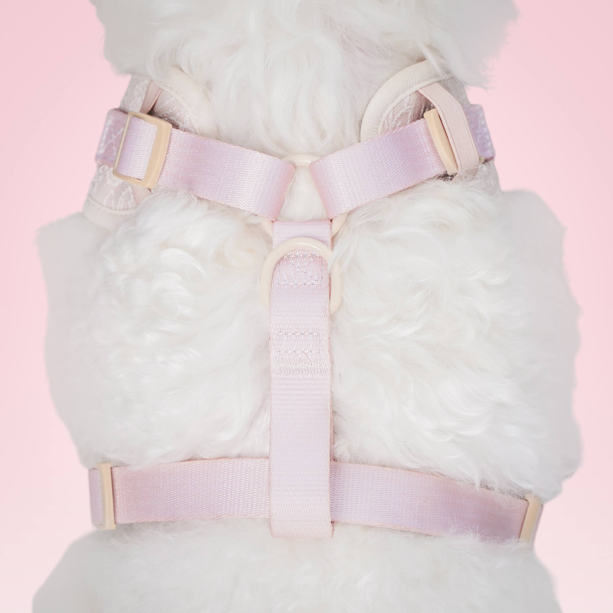 Morning Glory Dog Harness (Brown)