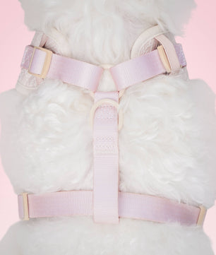 Morning Glory Dog Harness (Brown)