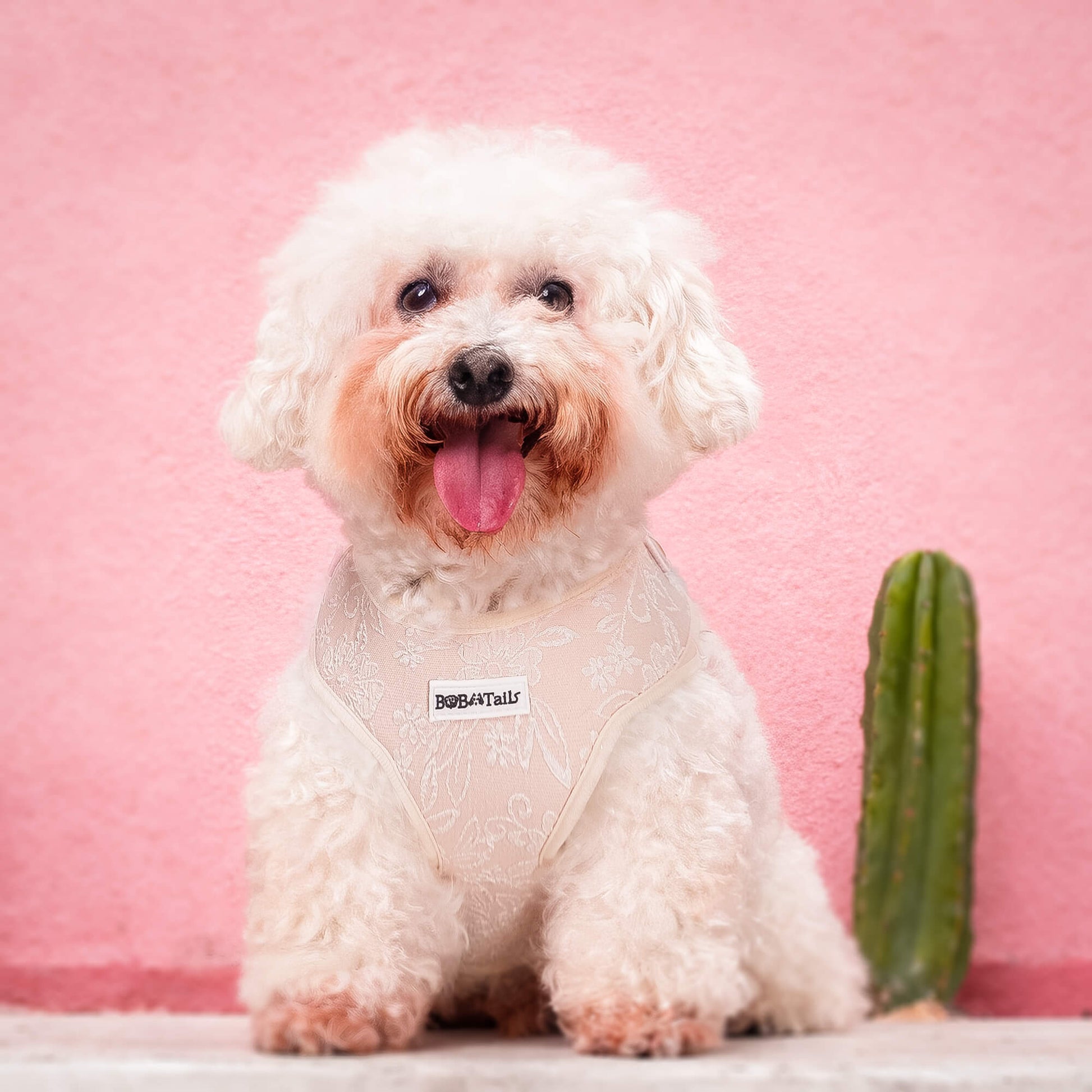 Morning Glory Dog Harness (Brown)
