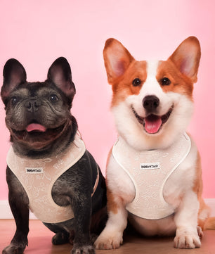 Morning Glory Dog Harness (Brown)