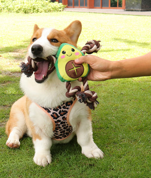 Interactive Dog Toy – Avocado Shaped Squeaky Plush Toy for Dogs