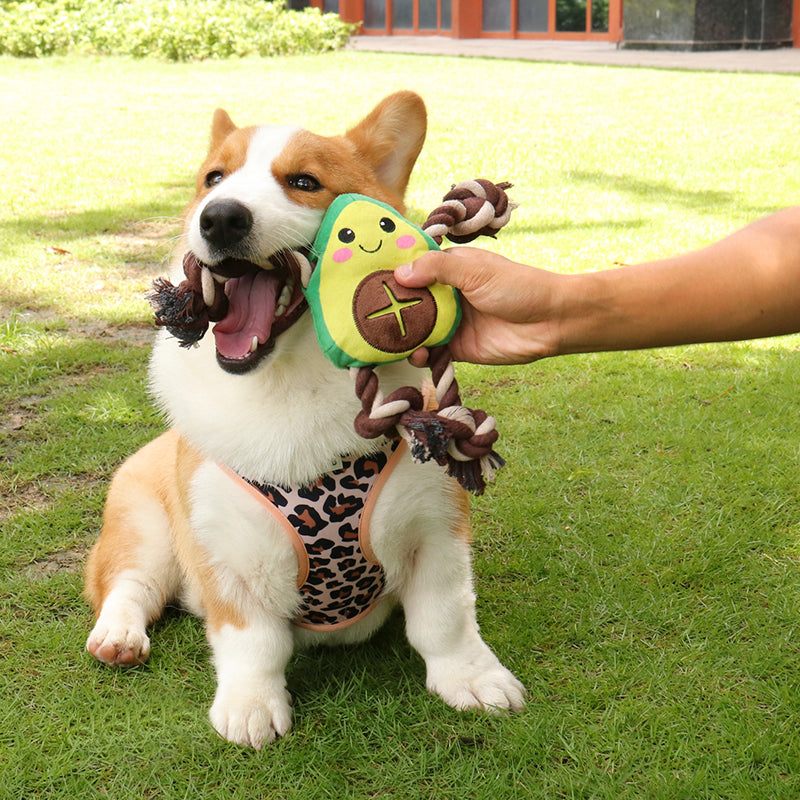 Interactive Dog Toy – Avocado Shaped Squeaky Plush Toy for Dogs