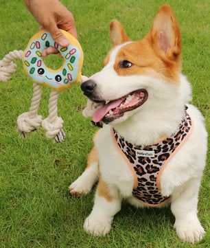 Donut Shaped Interactive Dog Toy