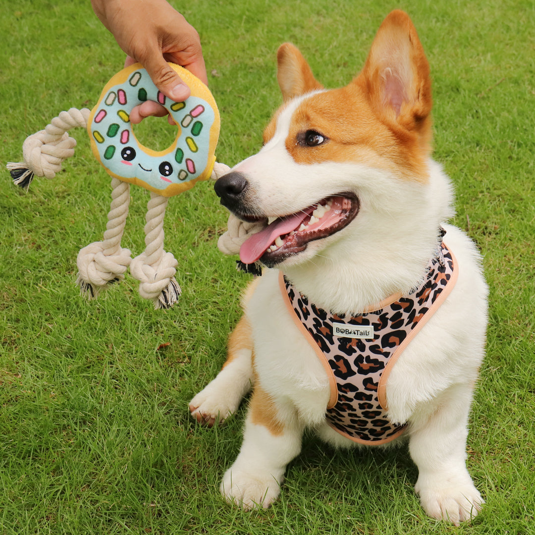 Donut Shaped Interactive Dog Toy