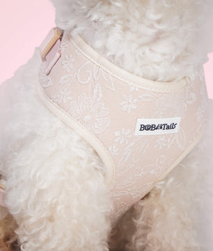 Morning Glory Dog Harness (Brown)