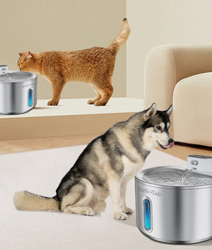 Stainless Steel Pet Water Fountain
