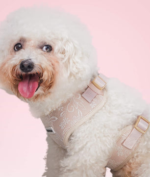 Morning Glory Dog Harness (Brown)