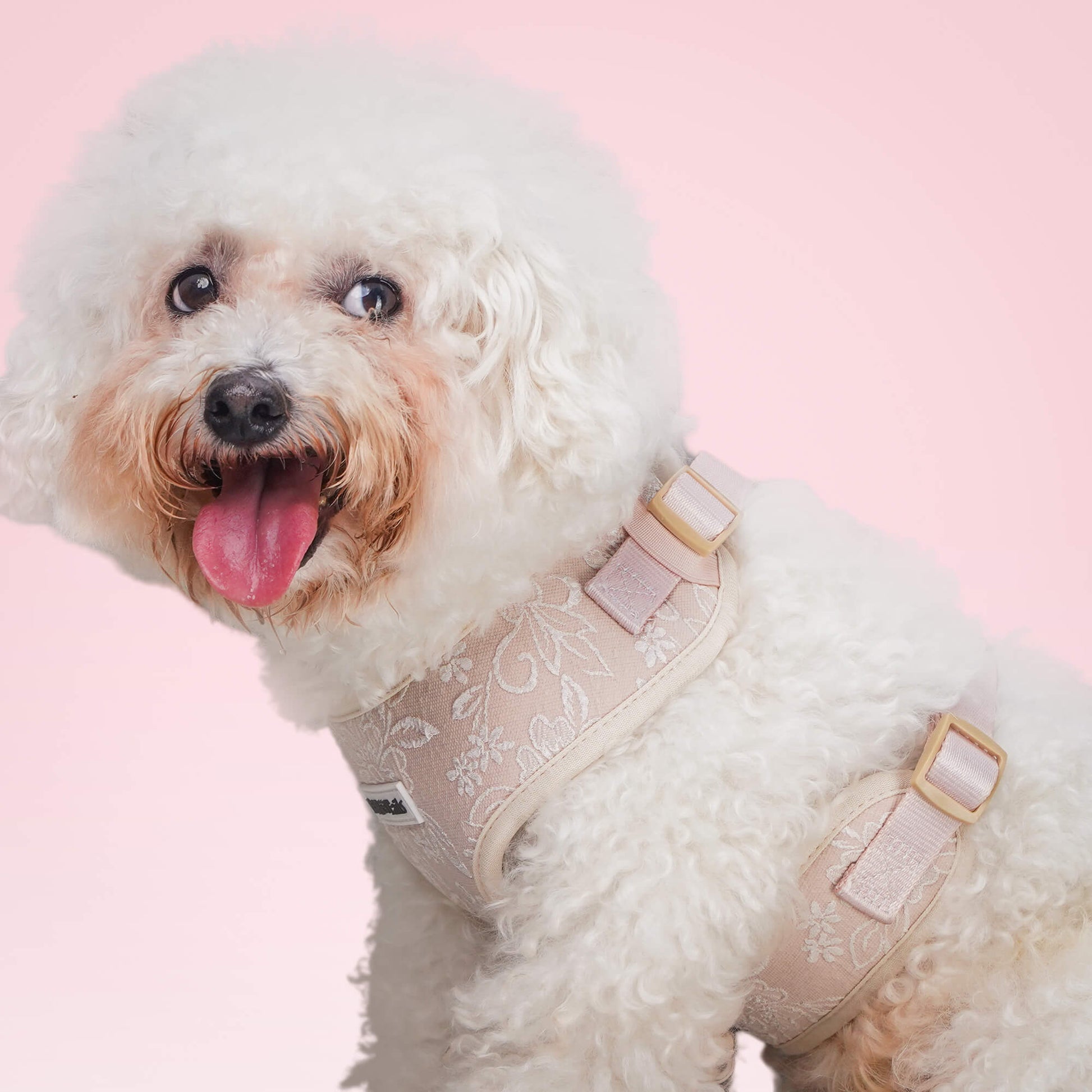 Morning Glory Dog Harness (Brown)