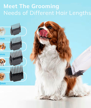 Pet Grooming Vacuum Kit