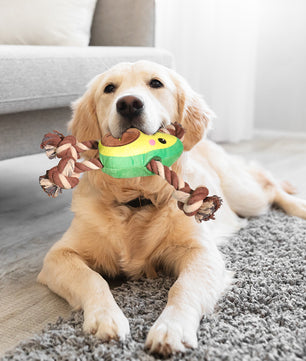 Interactive Dog Toy – Avocado Shaped Squeaky Plush Toy for Dogs