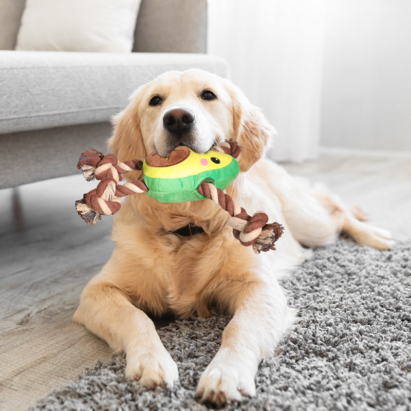 Interactive Dog Toy – Avocado Shaped Squeaky Plush Toy for Dogs
