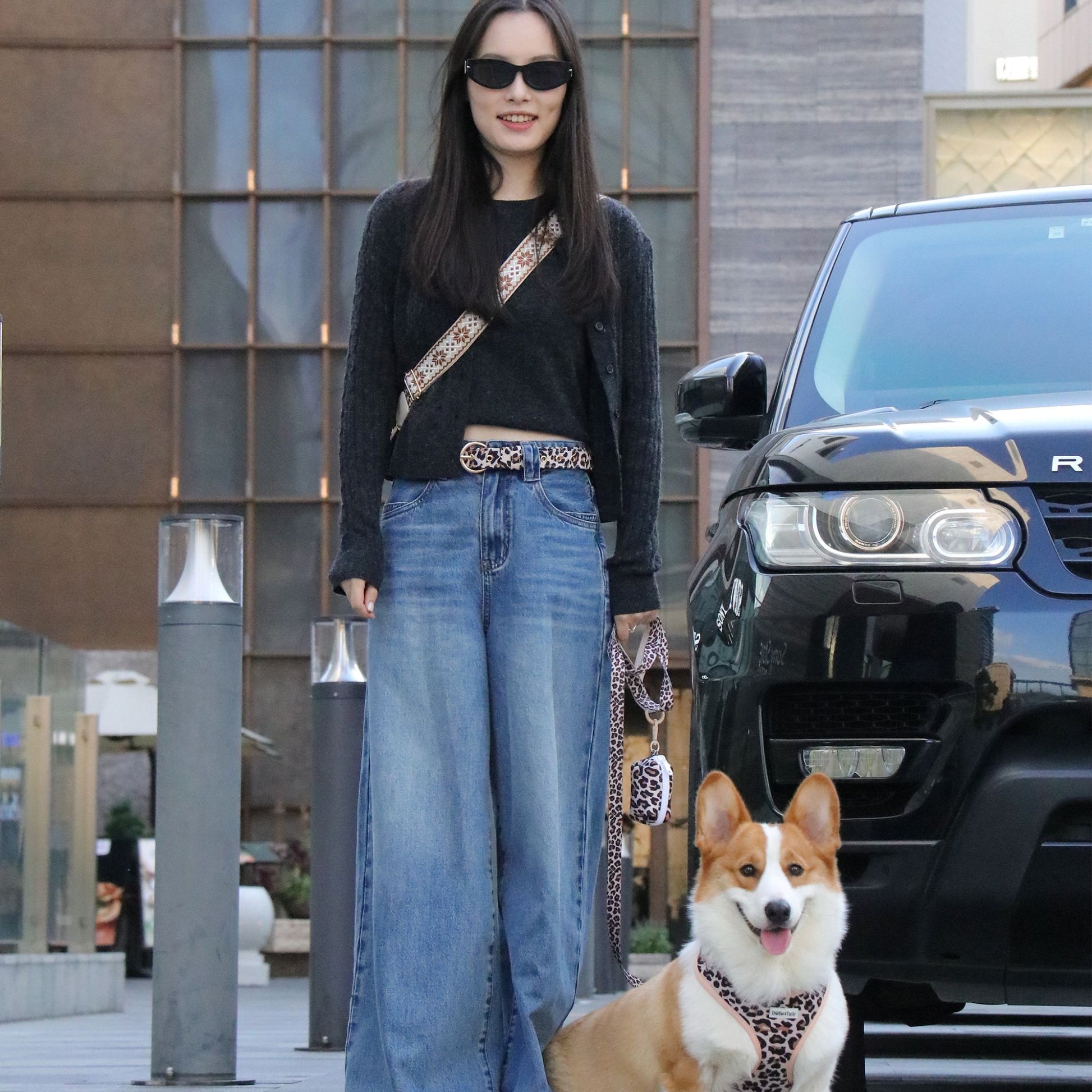 Sac à bandoulière pour promener son chien – Élégant et pratique pour toutes les mamans de chiens | Bobotails