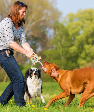 Donut Shaped Interactive Dog Toy