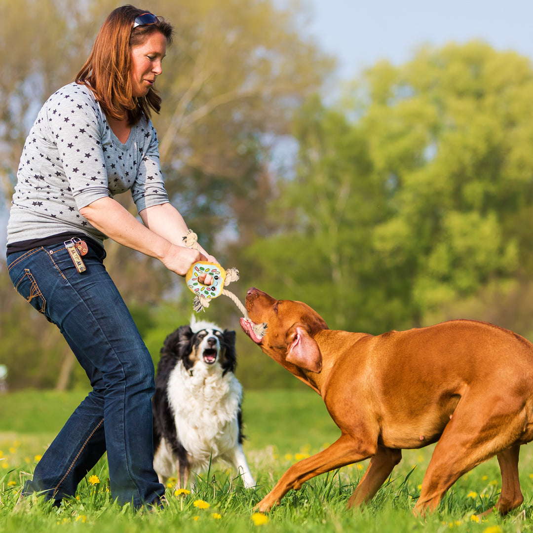Donut Shaped Interactive Dog Toy