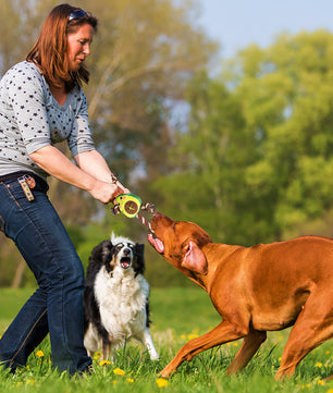 Interactive Dog Toy – Avocado Shaped Squeaky Plush Toy for Dogs
