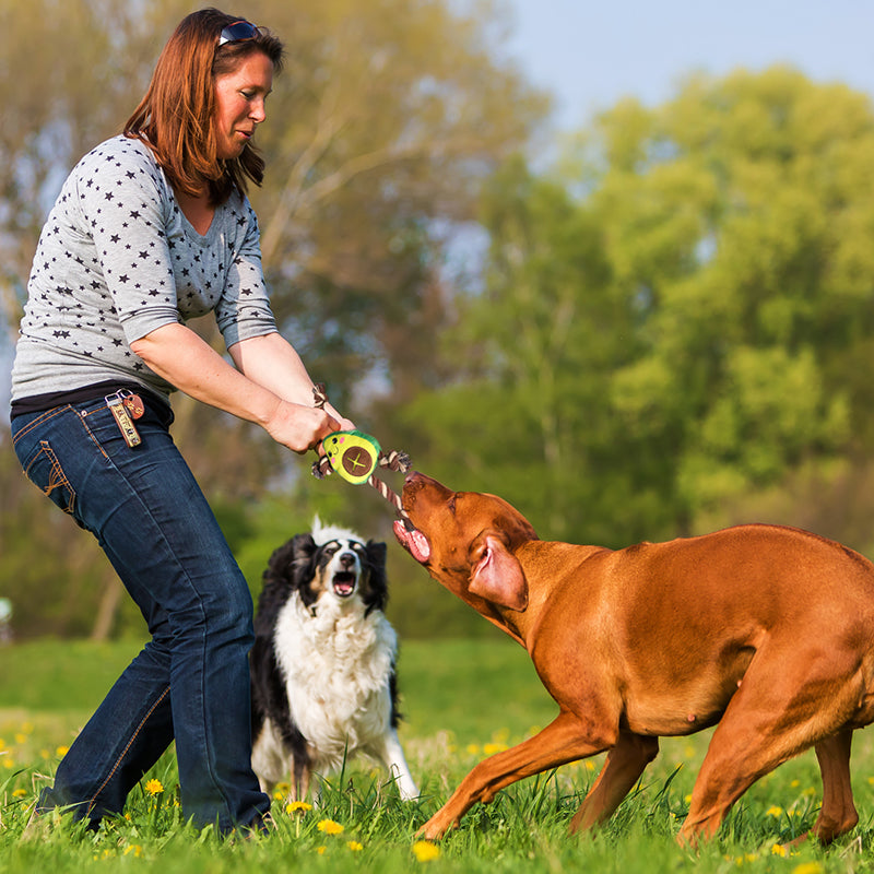 Interactive Dog Toy – Avocado Shaped Squeaky Plush Toy for Dogs