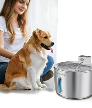Stainless Steel Pet Water Fountain