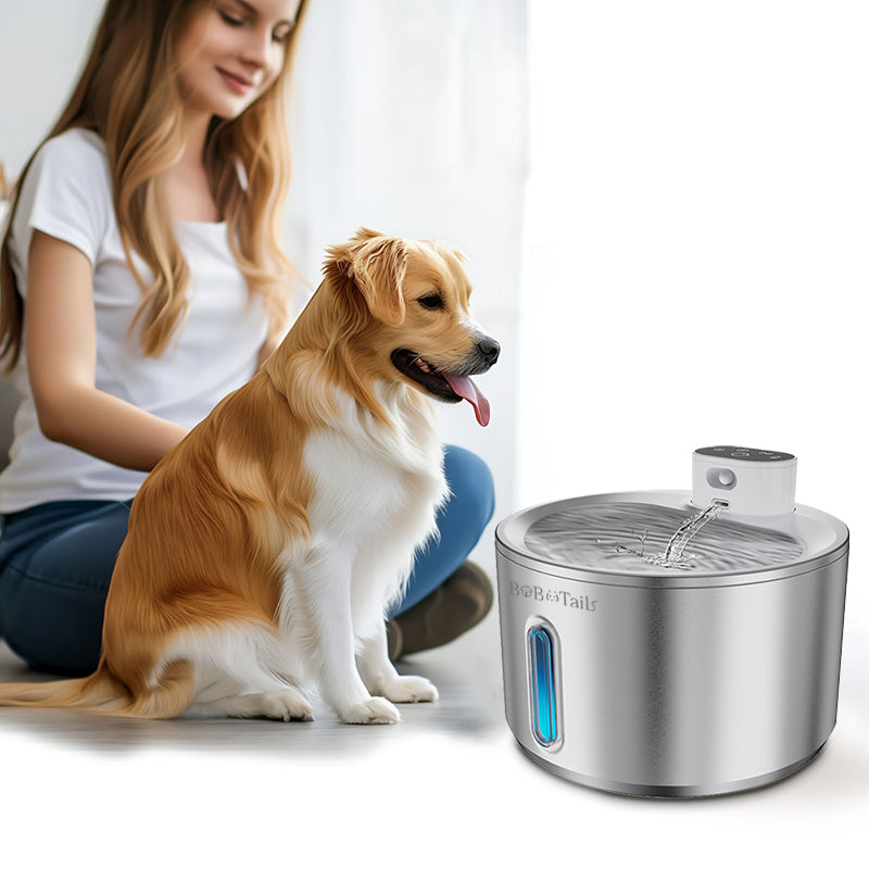 Stainless Steel Pet Water Fountain