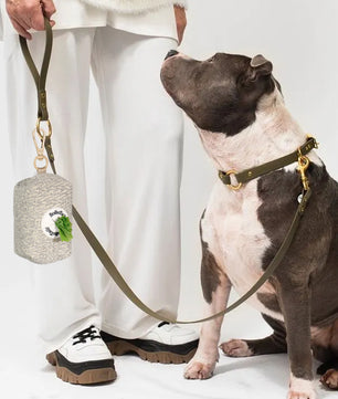 Chunky Knitted Dog Poop Bag Holder