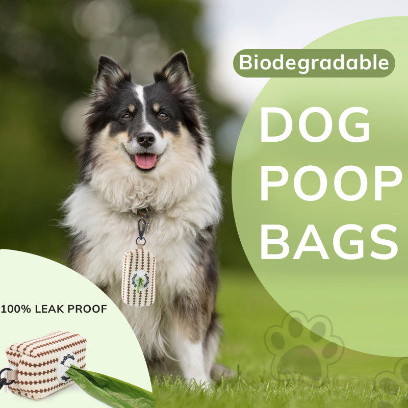 Biodegradable Pet Waste Bags for Clean & Green Walks