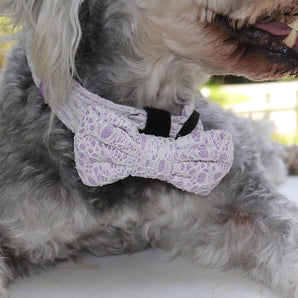2024 Bobotails Lavender Purple New Collection Beauty of Lace Dog Bow Tie Collar